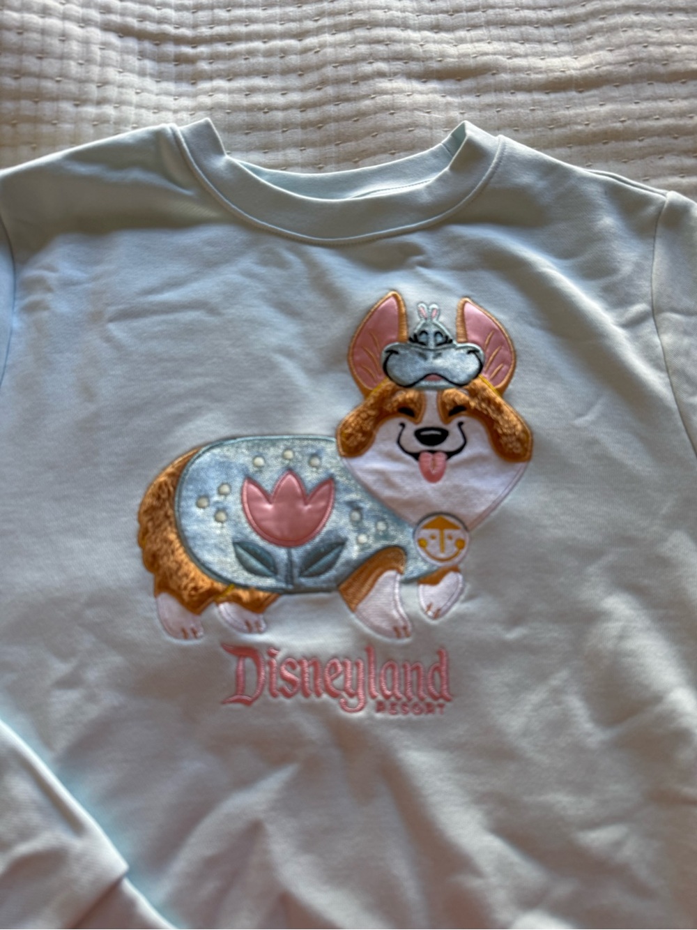 Disneyland Small World Hippo Costume Corgi Pullover Crewneck Sweatshirt XS NWT